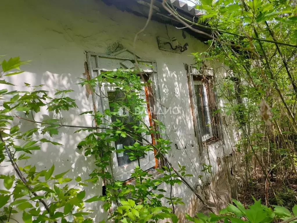 Дом 44 м на участке 15 сот. - Фото 1