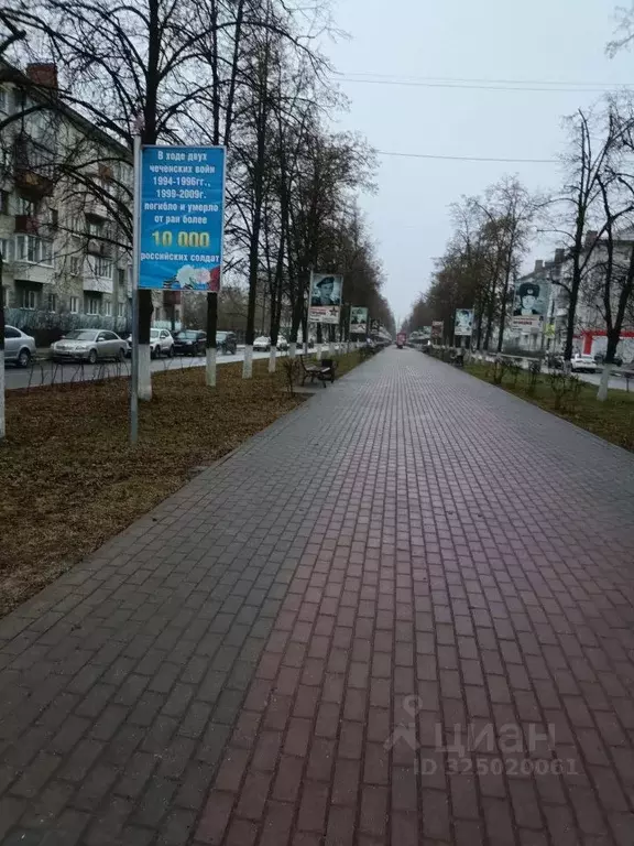 1-к кв. Нижегородская область, Дзержинск бул. Мира, 1/29 (31.2 м) - Фото 1