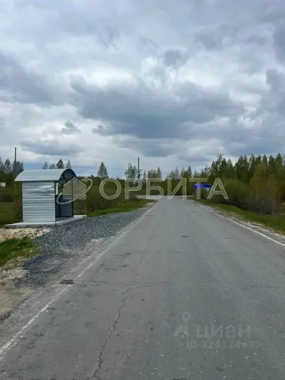 Участок в Тюменская область, Нижнетавдинский муниципальный округ, ... - Фото 2