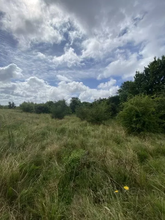 Участок в Калининградская область, Зеленоградский муниципальный округ, ... - Фото 2