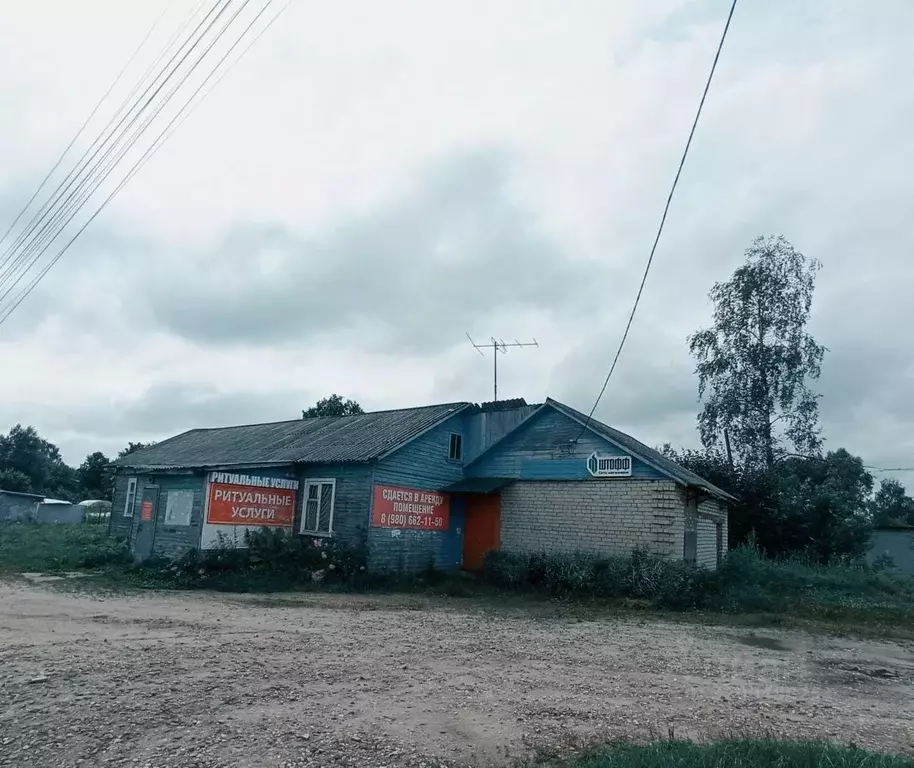 Помещение свободного назначения в Ярославская область, Некрасовский ... - Фото 1