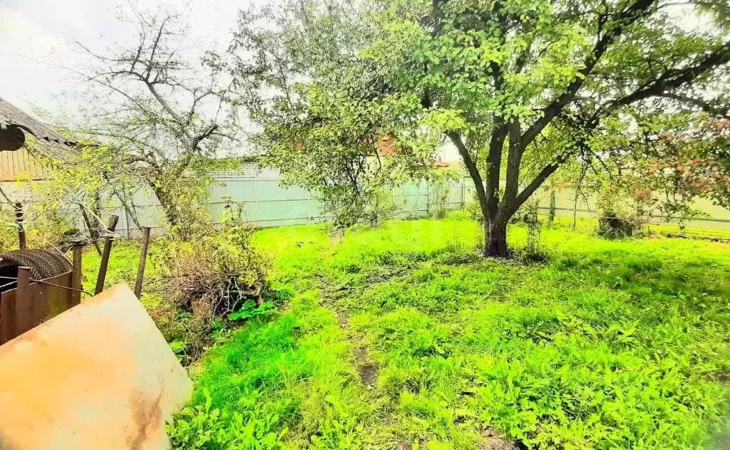 Участок в Брянская область, Брянск Большое Полпино пгт, Новая ул. ... - Фото 1