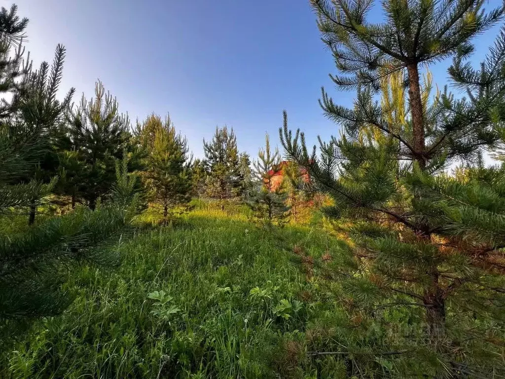 Участок в Красноярский край, Дивногорск городской округ, пос. Манский ... - Фото 2