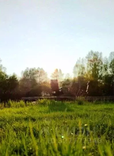 Участок в Новосибирская область, Колыванский район, Север ТСН 401 (8.0 ... - Фото 2