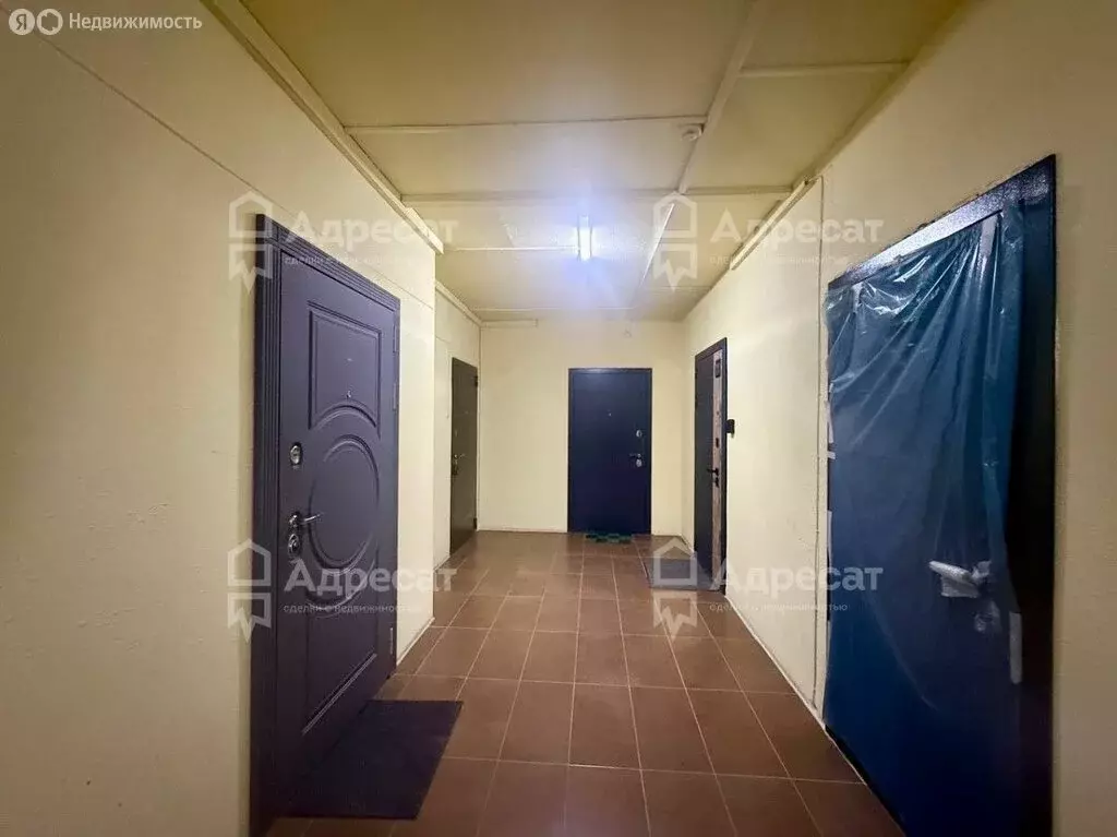 1-комнатная квартира: Волгоград, район Семь Ветров, бульвар 30-летия ... - Фото 2