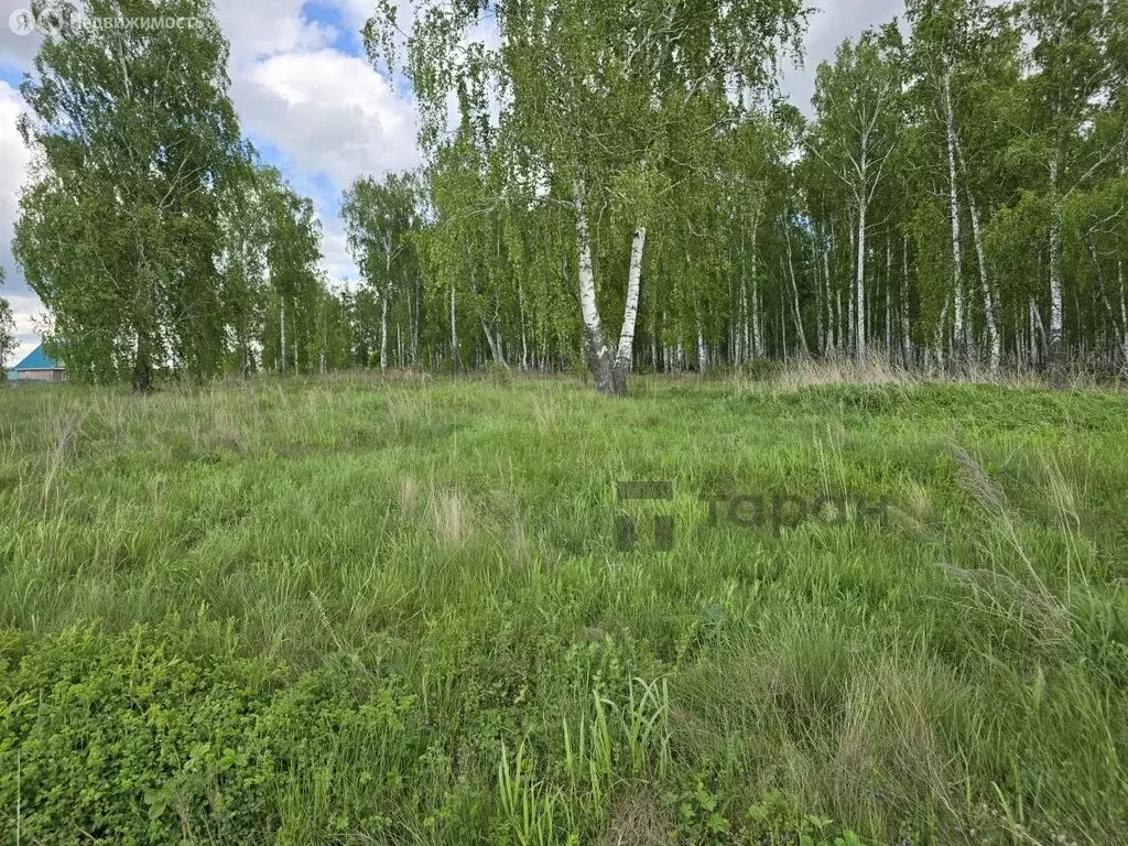 Участок в Сосновский округ, деревня Мамаева, Солнечная улица (10 м) - Фото 1