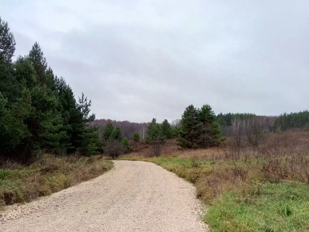 Участок в Нижегородская область, Богородский муниципальный округ, д. ... - Фото 2