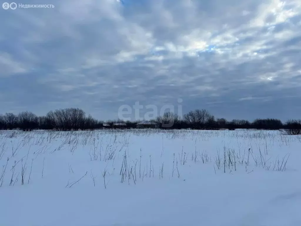 Участок в Архангельск, микрорайон Зеленец (15.37 м) - Фото 1