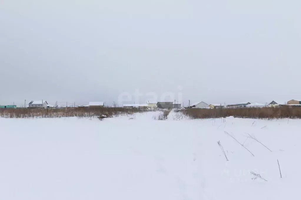 Участок в Тюменская область, Тюменский муниципальный округ, Садовые ... - Фото 1