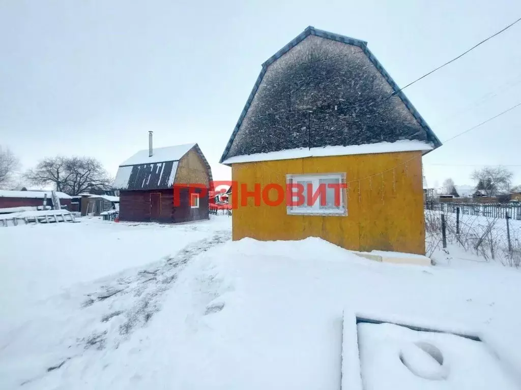 Дом в Новосибирская область, Коченевский район, Ясень СНТ 280 (45 м) - Фото 0
