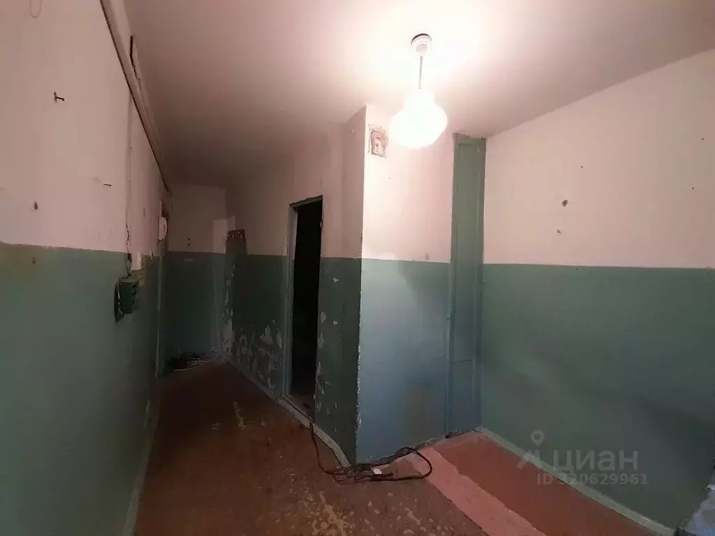 Торговая площадь в Белгородская область, Старый Оскол Рудничный мкр, ... - Фото 1