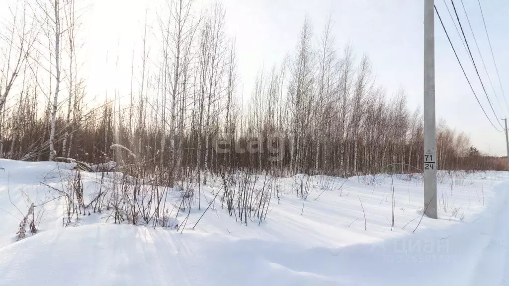 Участок в Томская область, Томск пер. Заботы (10.7 сот.) - Фото 2