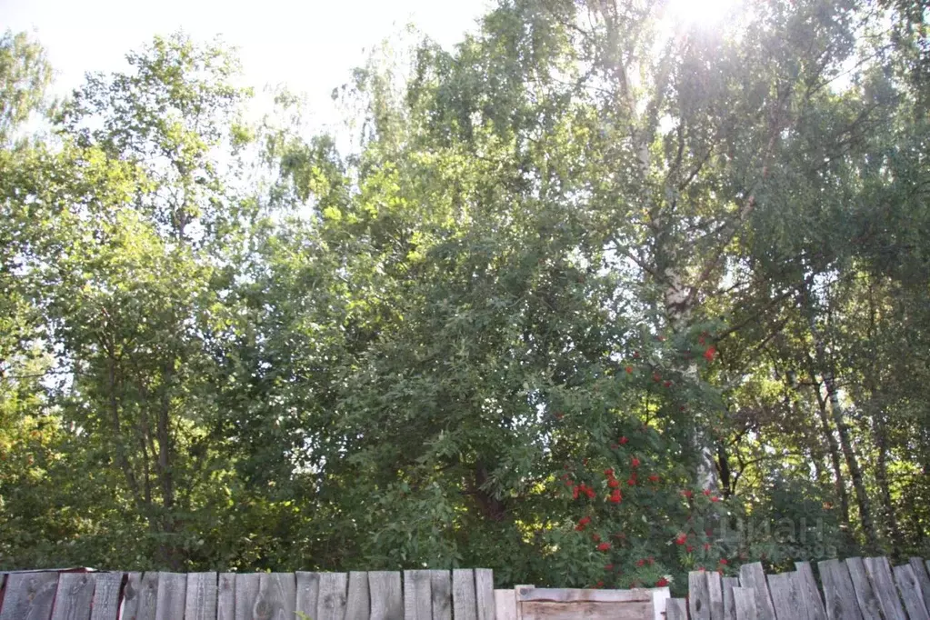 Участок в Московская область, Истра муниципальный округ, д. Крюково  ... - Фото 1