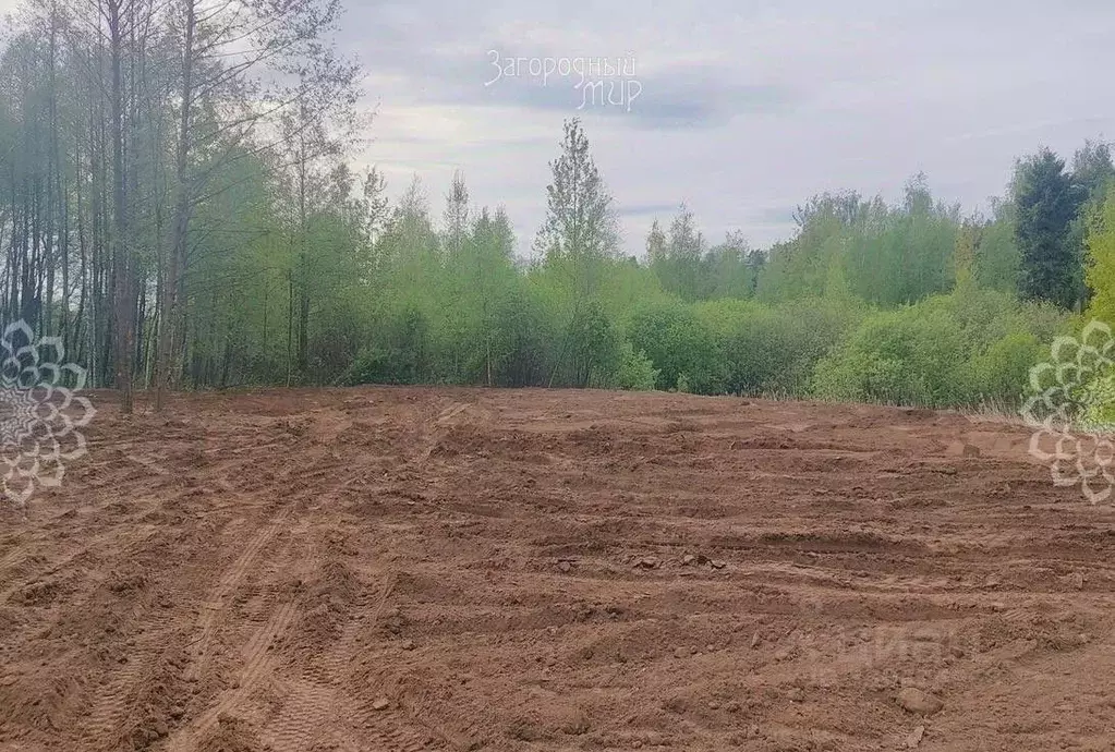 Участок в Московская область, Балашиха СНТ Заря тер.,  (10.0 сот.) - Фото 1