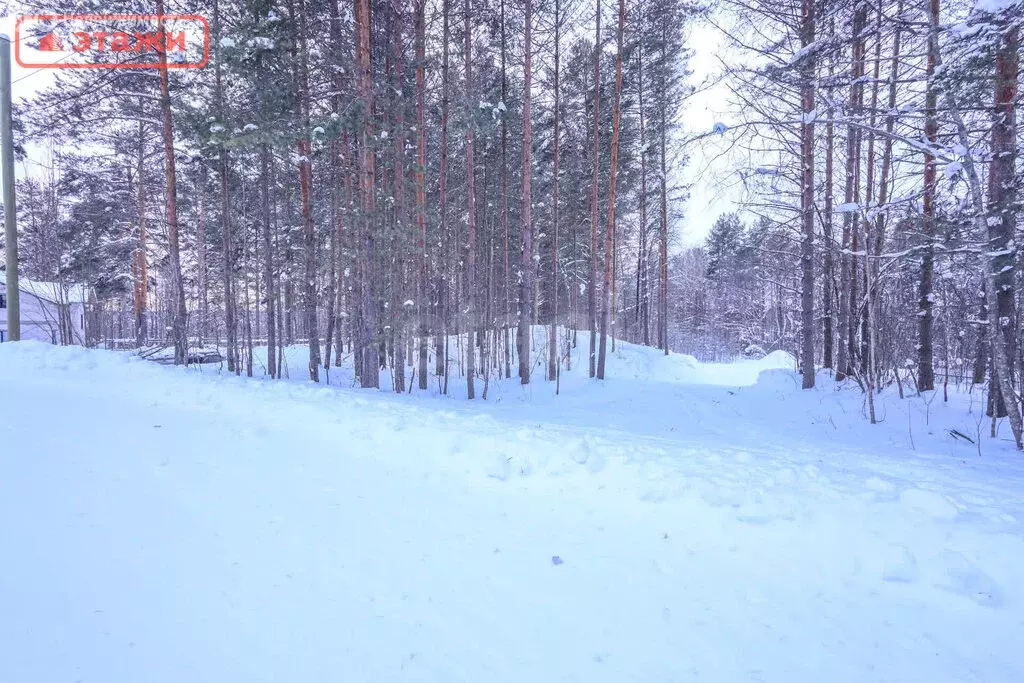 Участок в Кондопожский район, Кончезерское сельское поселение, село ... - Фото 2