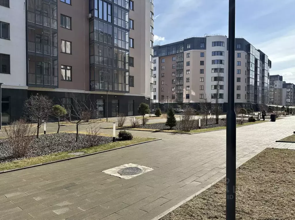 3-к кв. Красноярский край, Красноярск ул. Петра Подзолкова, 10 (86.5 ... - Фото 1