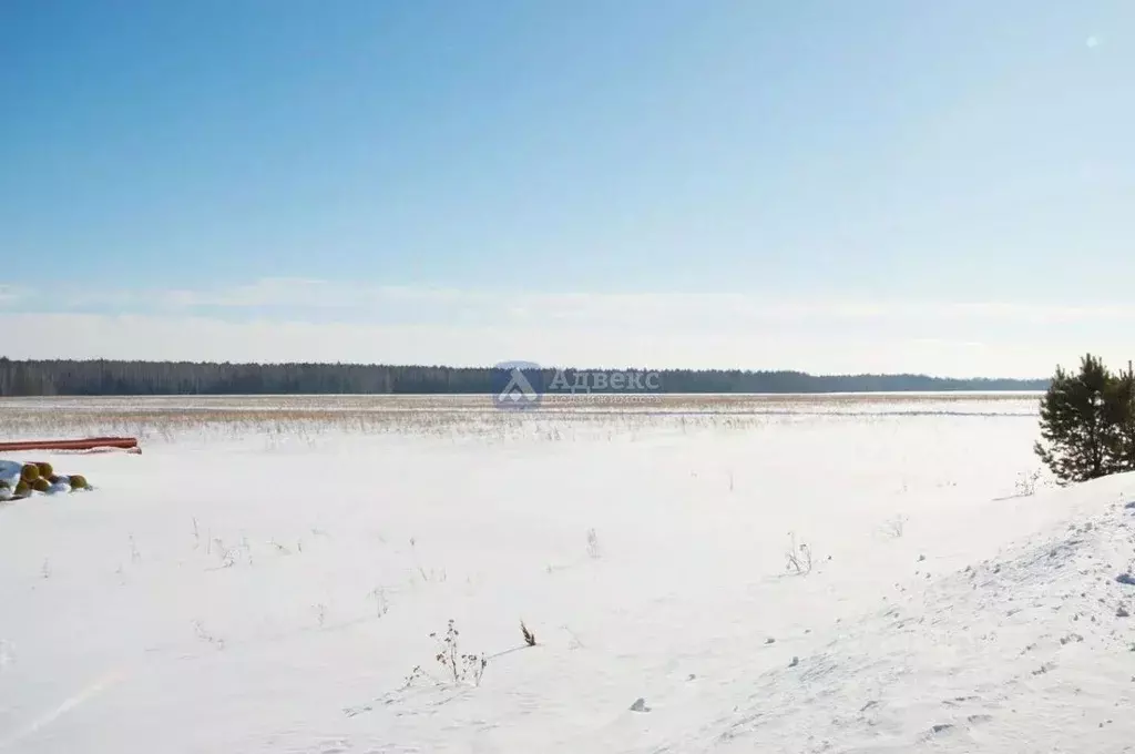 Участок в Тюменская область, Ярковский район, с. Новоалександровка  ... - Фото 0