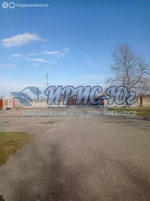 Помещение свободного назначения (120 м) - Фото 1