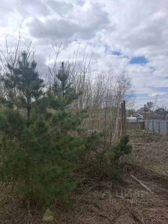 Участок в Нижегородская область, Кстово ул. Коминтерна (7.83 сот.) - Фото 1