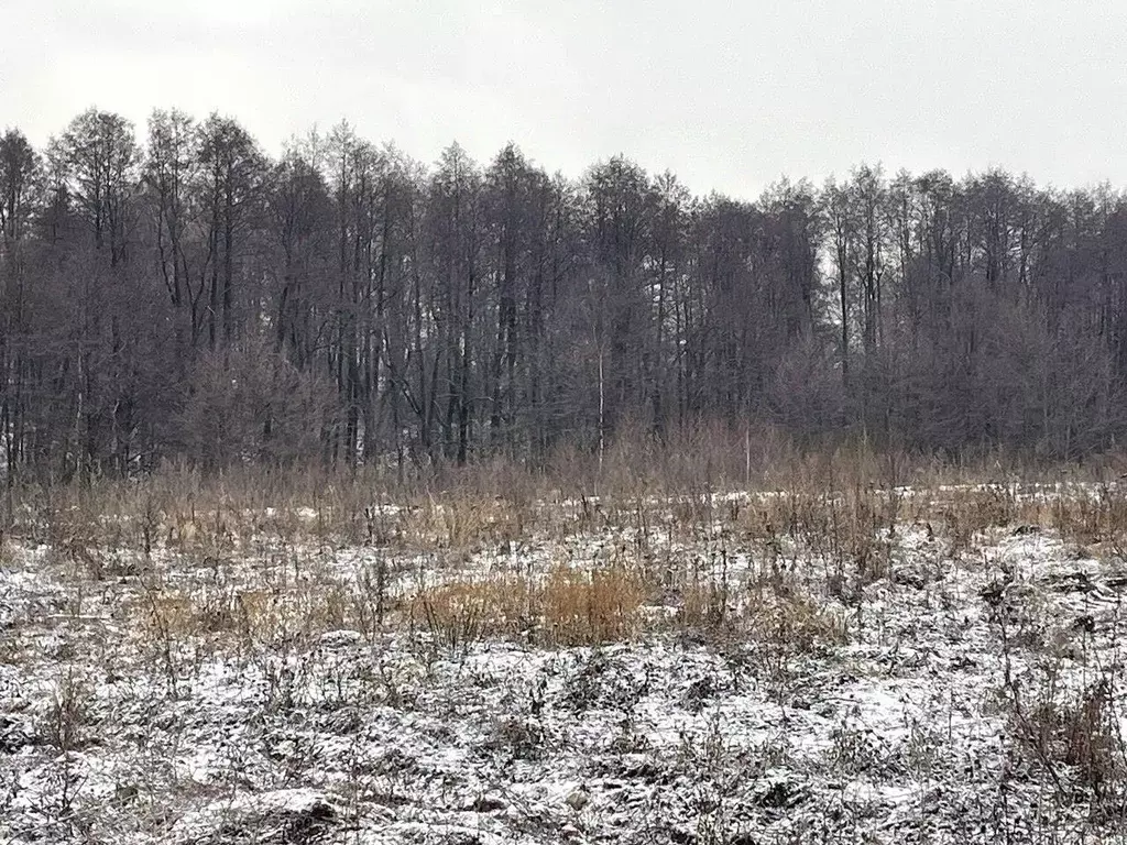 Участок в Московская область, Бронницы  (10.0 сот.) - Фото 0
