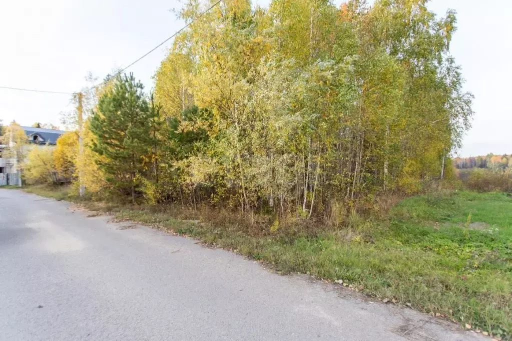 Участок в Тюменская область, Тобольск ул. Венгерского (6.0 сот.) - Фото 1