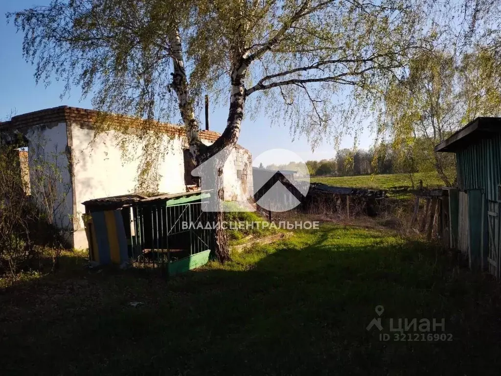 Участок в Новосибирская область, Мошковский район, д. Балта Советская ... - Фото 1