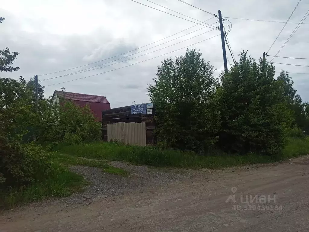 Участок в Новосибирская область, Новосибирский район, Новолуговской ... - Фото 0