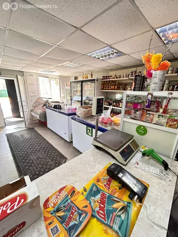 Помещение свободного назначения (54 м) - Фото 0