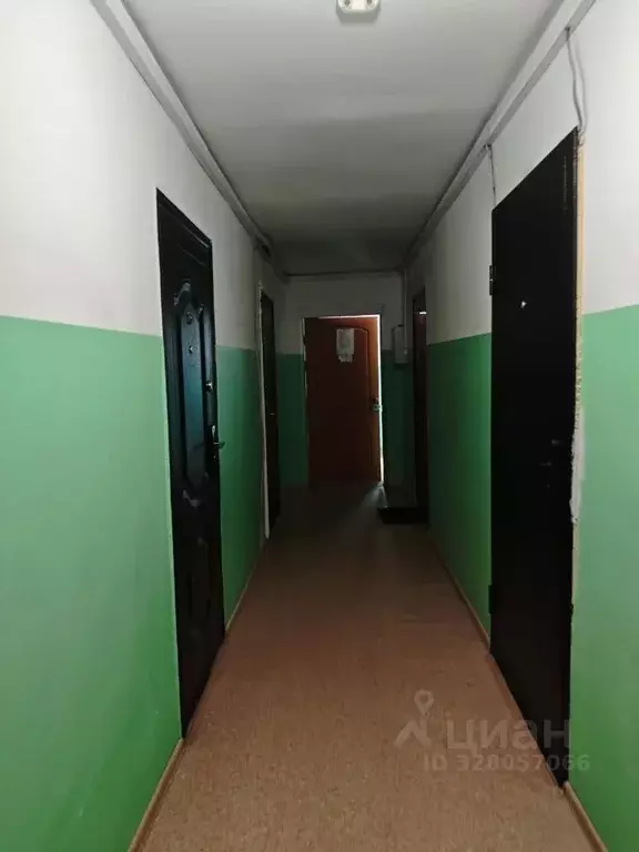 Комната Алтайский край, Барнаул ул. Эмилии Алексеевой, 15А/60 (12.0 м) - Фото 2