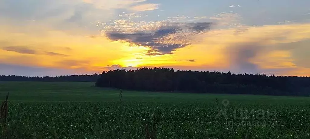 Дом в Московская область, Рузский городской округ, с. Васильевское ... - Фото 1