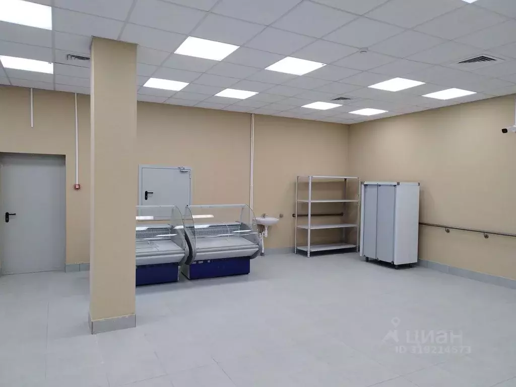 Помещение свободного назначения в Нижегородская область, Дзержинск ул. ... - Фото 1