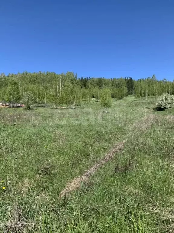 Участок 14 сот. (ИЖС) - Фото 0