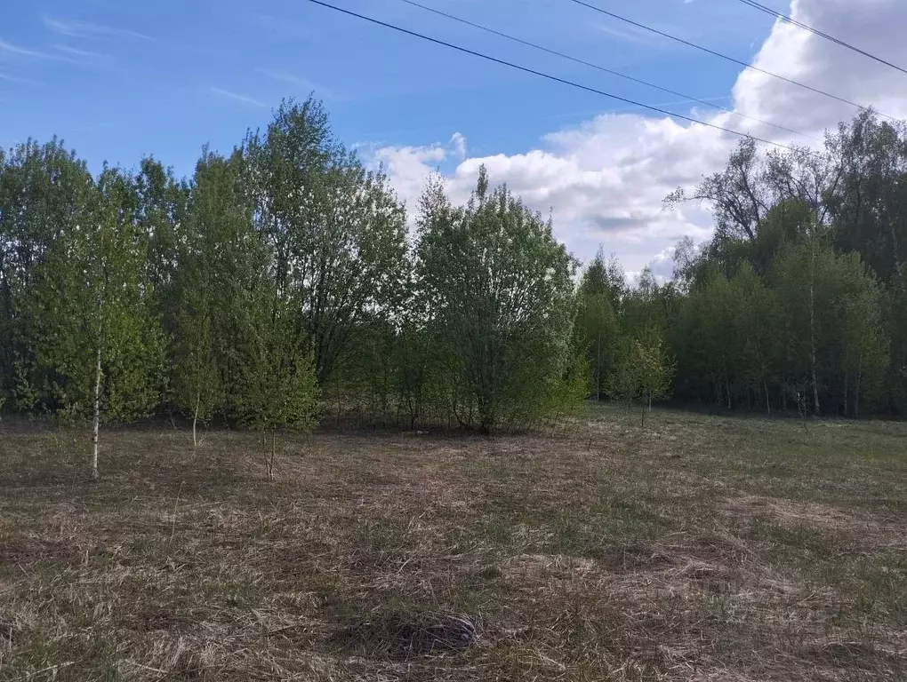 Участок в Нижегородская область, с. Безводное  (12.0 сот.) - Фото 1