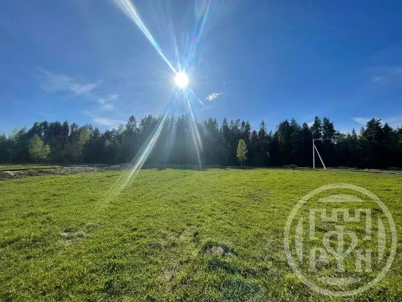 Участок в Ленинградская область, Всеволожский район, Куйвозовское ... - Фото 1