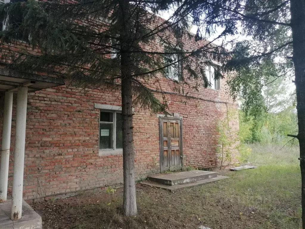 Помещение свободного назначения в Омская область, Омск Крутая Горка ... - Фото 1