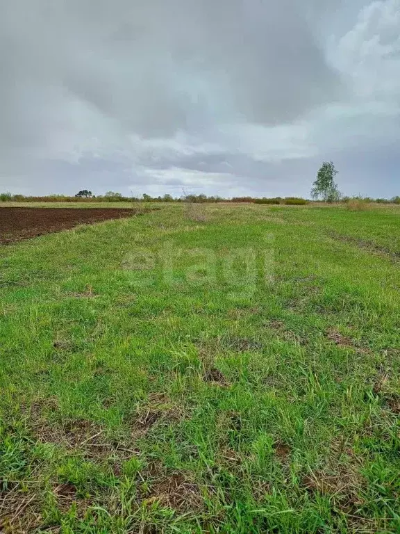 Участок в Амурская область, Благовещенский район, пос. Заречный  (10.0 ... - Фото 2