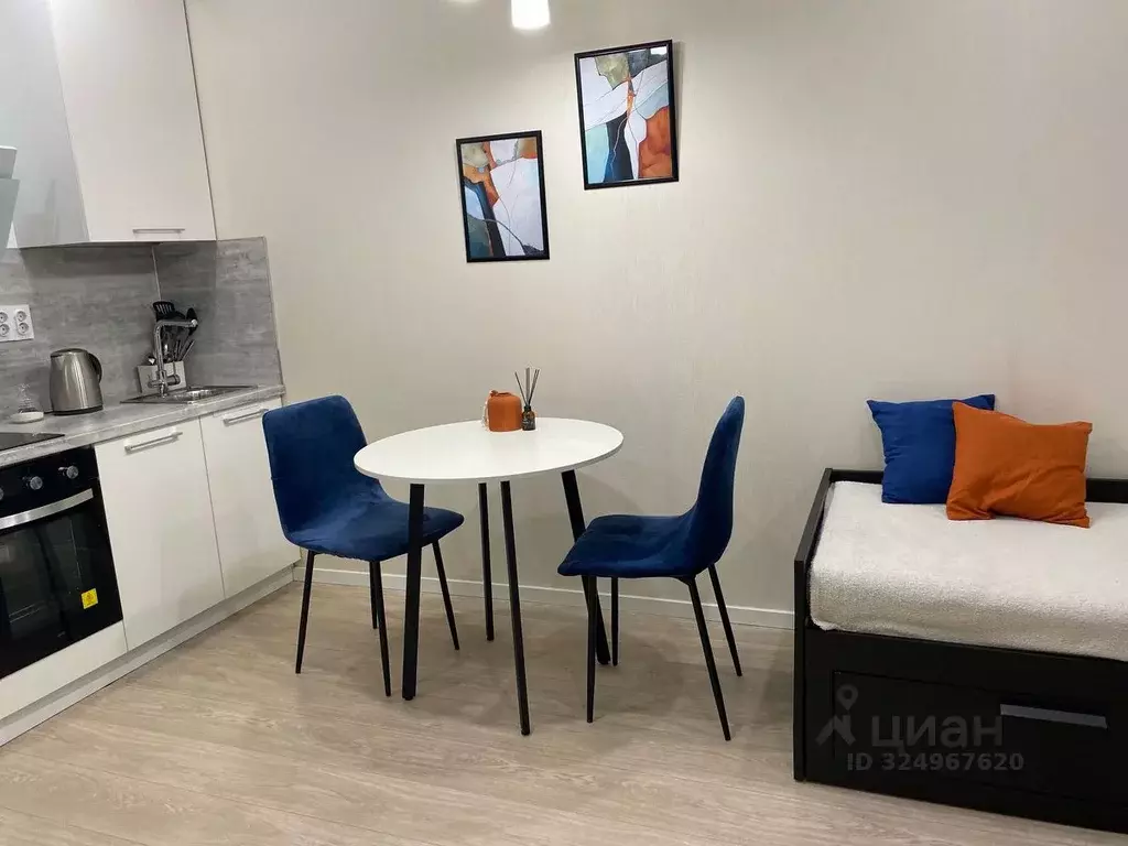 Студия Санкт-Петербург 1-й Предпортовый проезд, 15 (28.8 м) - Фото 2