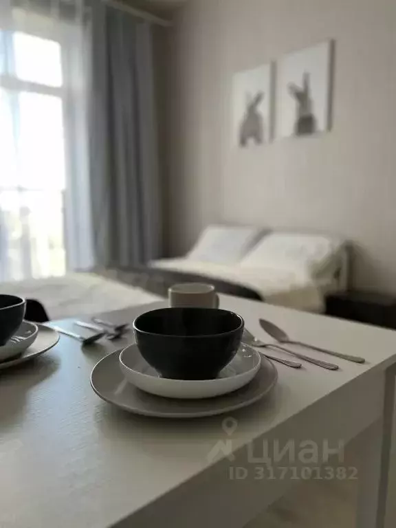 1-к кв. Санкт-Петербург Пулковское ш., 14с6 (23.0 м) - Фото 1