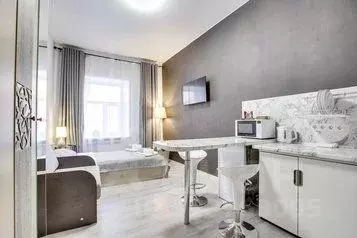 1-к кв. Санкт-Петербург Пушкинская ул., 18 (20.0 м) - Фото 1