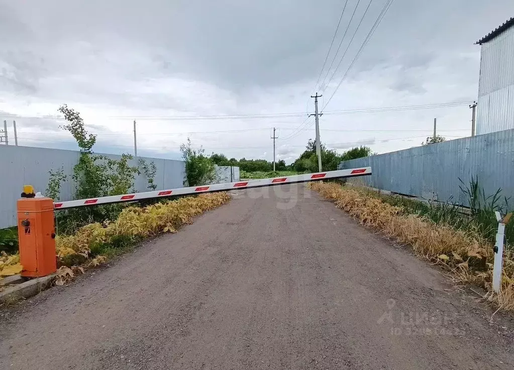 Участок в Ленинградская область, Всеволожский район, Колтушское ... - Фото 1