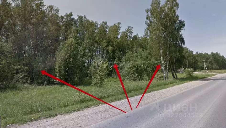 Участок в Калужская область, Дзержинский муниципальный округ, Жилетово ... - Фото 2