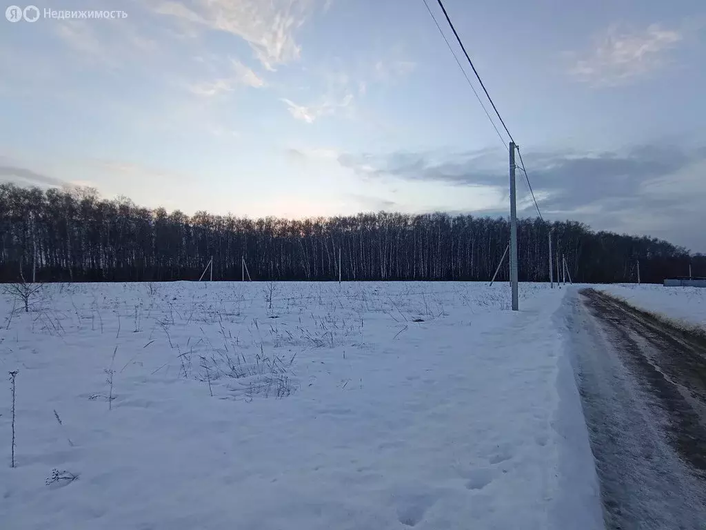 Участок в Московская область, городской округ Серпухов, деревня ... - Фото 2