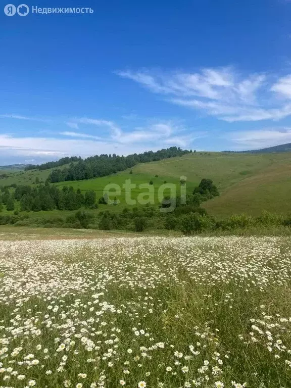 Участок в Майминский район, село Верх-Карагуж (10 м) - Фото 0