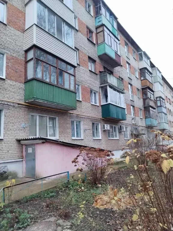 2-к кв. Московская область, Воскресенск Центральный мкр, ул. Колина ... - Фото 2