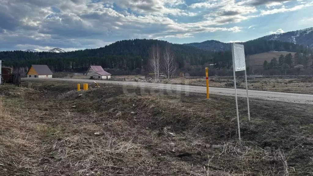 Участок в Алтай, Майминский район, с. Александровка Центральная ул. ... - Фото 0