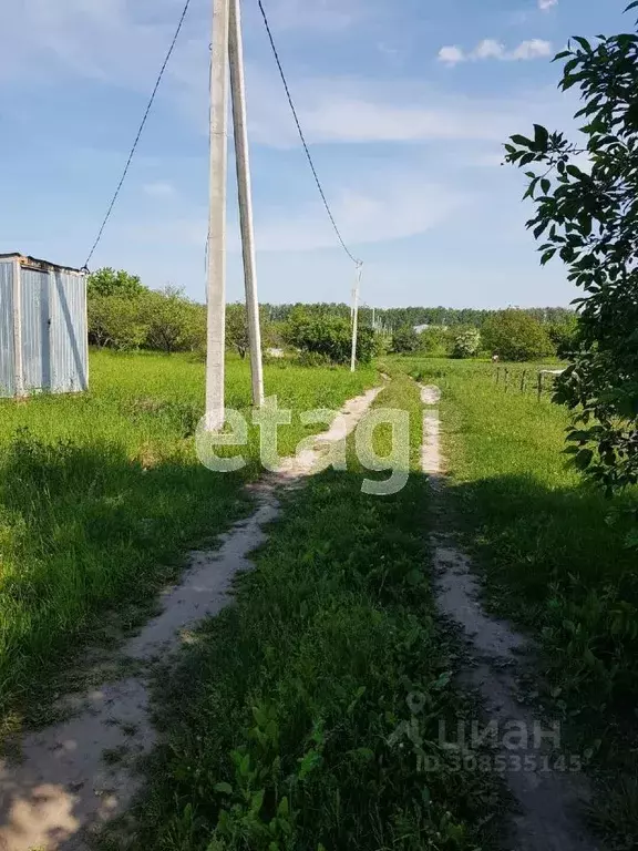 Участок в Брянская область, Выгоничский район, Кокинское с/пос, с. ... - Фото 1