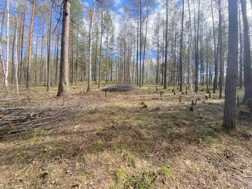 Участок в Свердловская область, Дегтярск  (16.0 сот.) - Фото 1