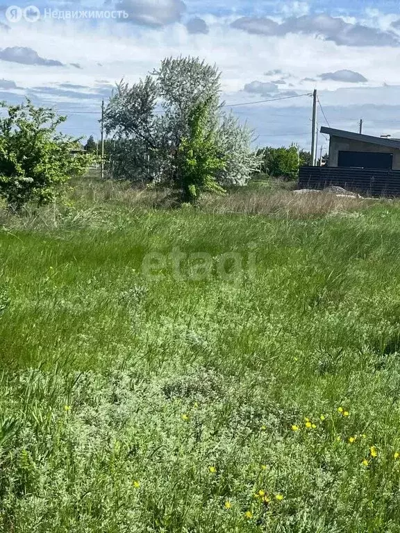 Участок в Аксайский район, станица Старочеркасская (15 м) - Фото 0