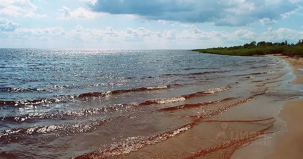 Участок в Новгородская область, Новгородский район, Борковское с/пос, ... - Фото 0