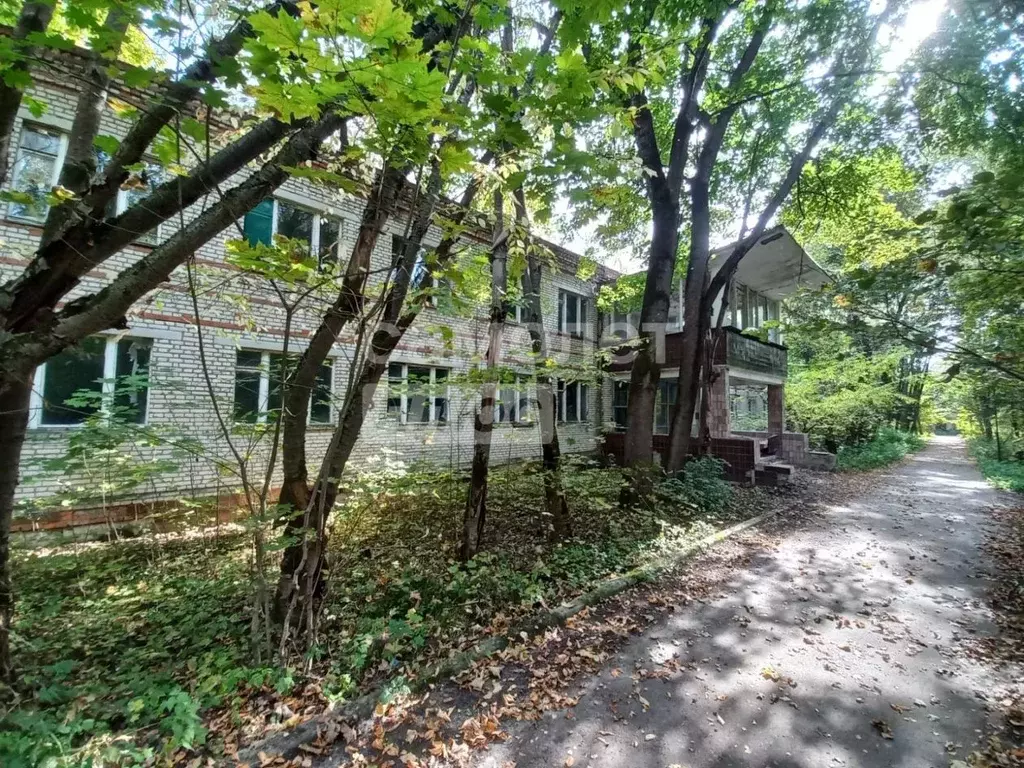 Помещение свободного назначения в Московская область, Наро-Фоминский ... - Фото 1